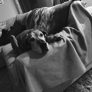 Meet your Posher, April